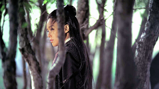 The Assassin