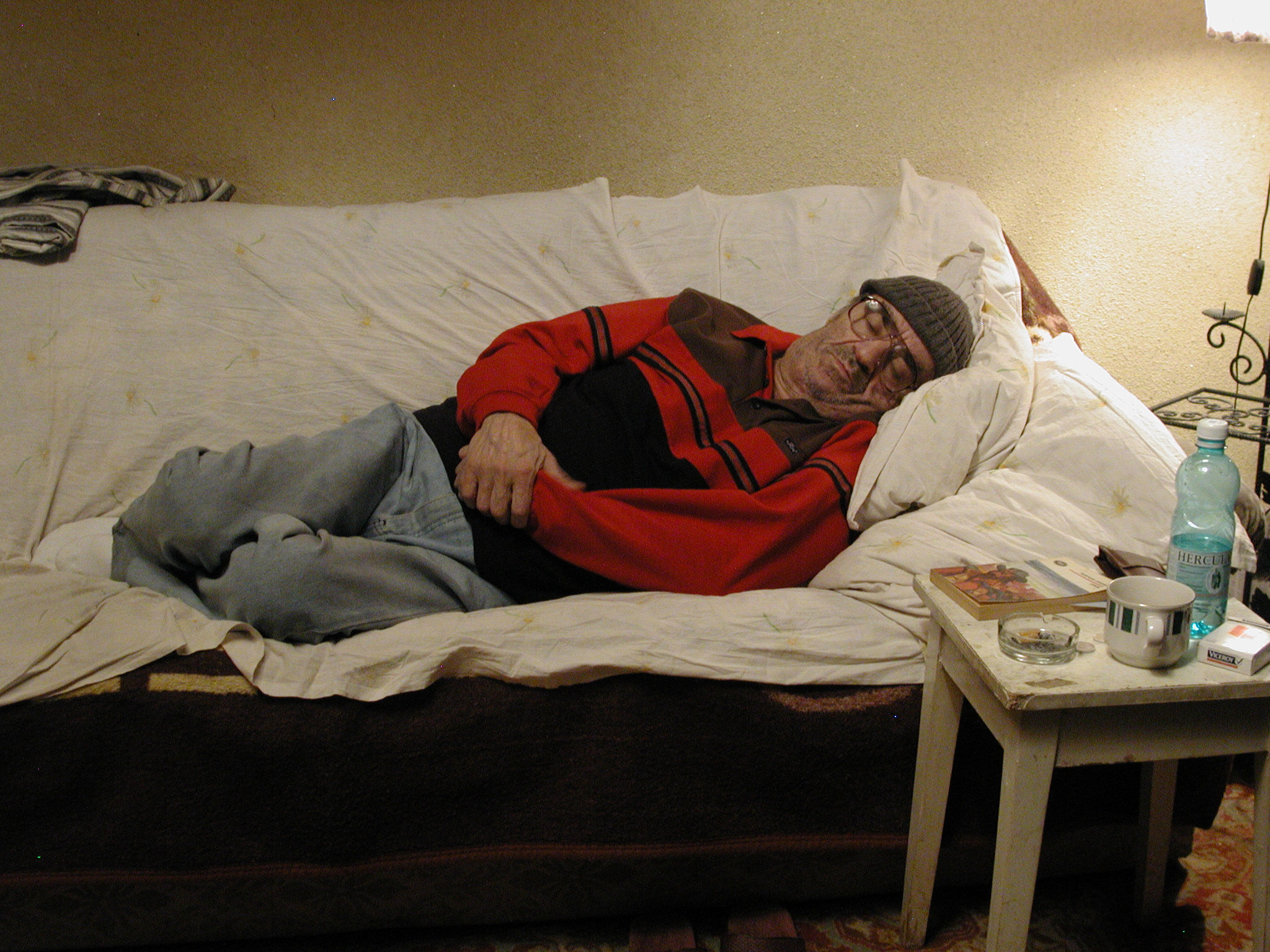 The Death of Mr. Lazarescu