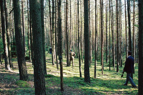 Katyn-Forrest