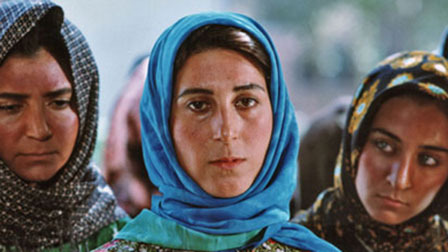 The Blue-Veiled