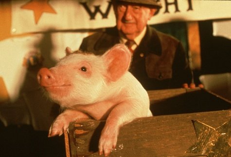 Babe, the Gallant Pig