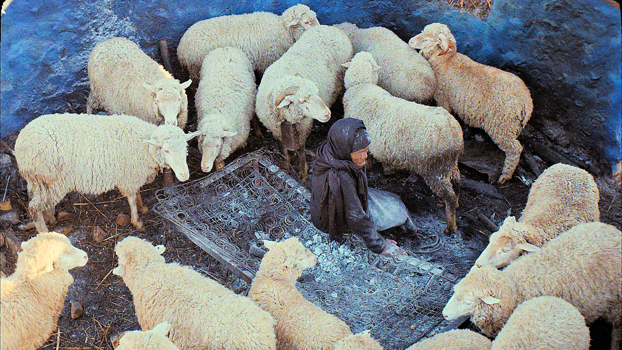This is Not a Burial, It’s a Resurrection