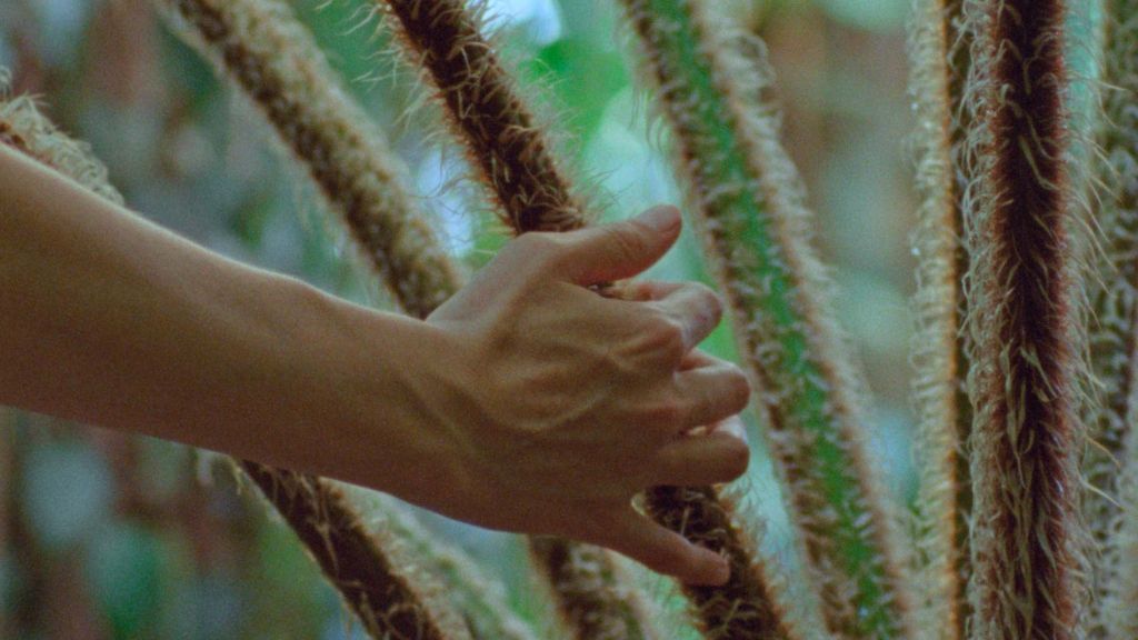 Seeds, Colonialisms, and Repatriation: An Appreciation of the FIPRESCI Award-Winning Film at the 16th D’A Film Festival Barcelona