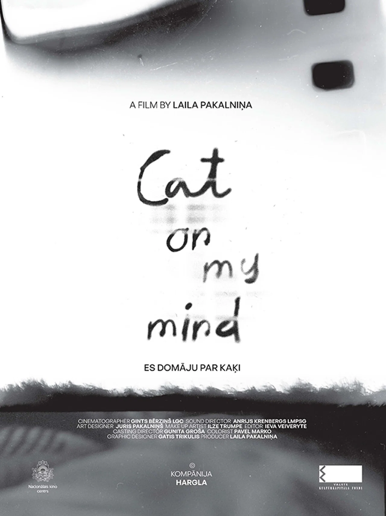 Cat on My Mind