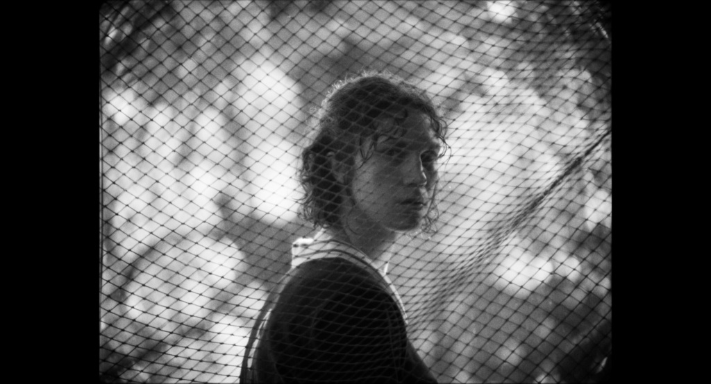 Beyond the Boundaries of Language: Cinema in Its Purest Form