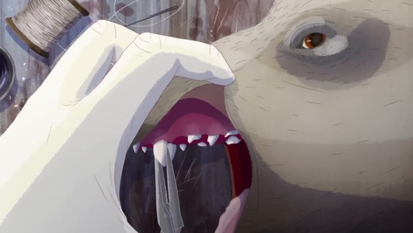 Teeth