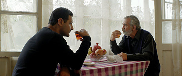 The Pomegranate Orchard