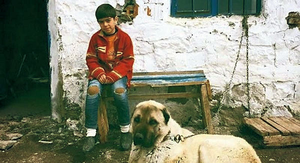 Rauf
