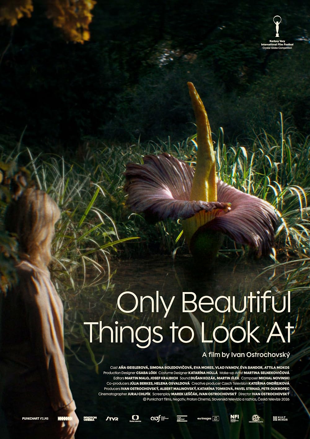 Only Beautiful Things to Look At