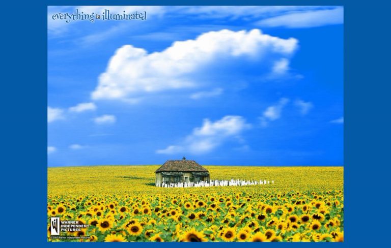 Everything Is Illuminated