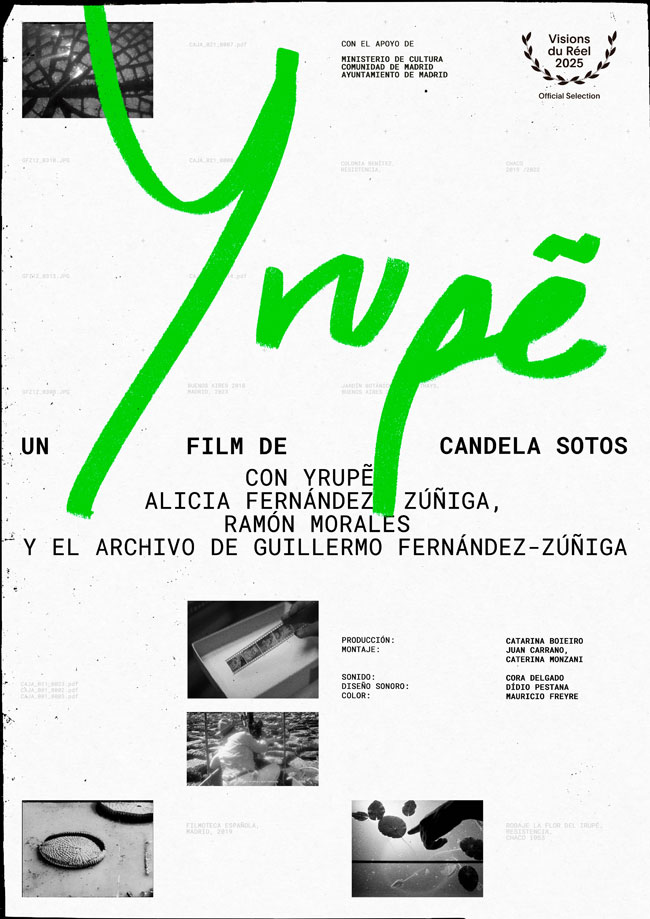 Yrupe